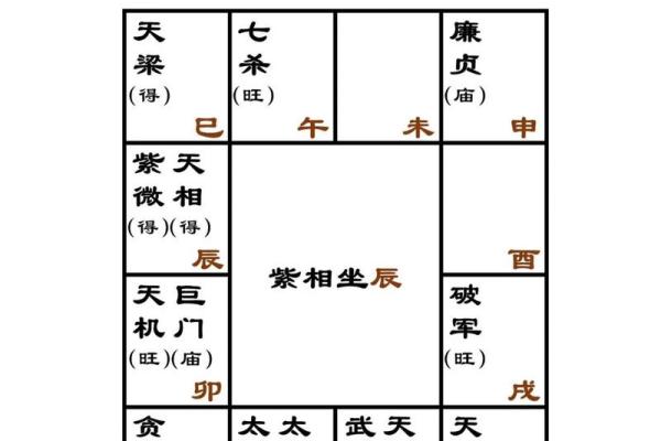 紫薇斗数干的气化
