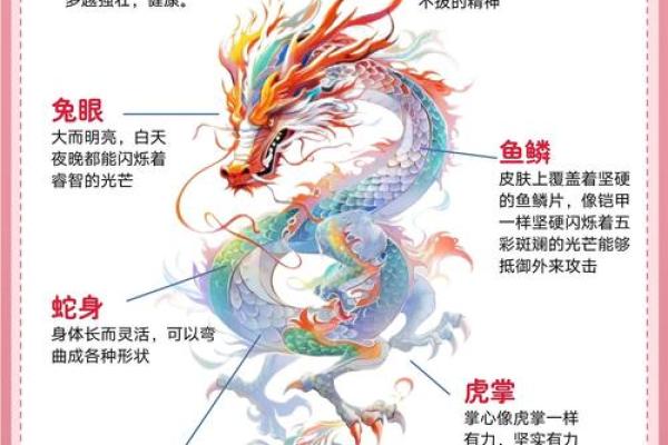 风水上龙吐水寓意是什么