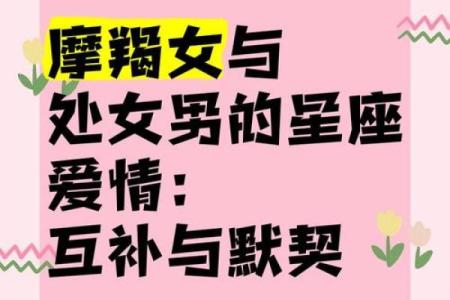 与处女女最配的星座 与处女男最配的星座