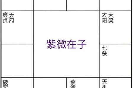 鬼谷子紫薇斗数