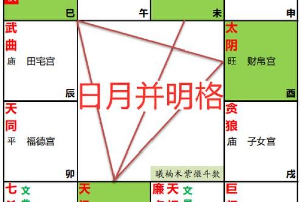 紫薇斗数破格富贵 紫薇斗数破格富贵