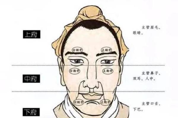 男人眉毛看相算命 男人眉毛看相算命