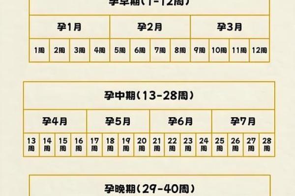 紫薇斗数怀孕生子年份 紫薇斗数怀孕生子年份