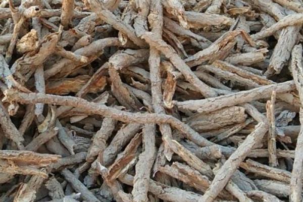 算命骨头皮 算命骨头皮