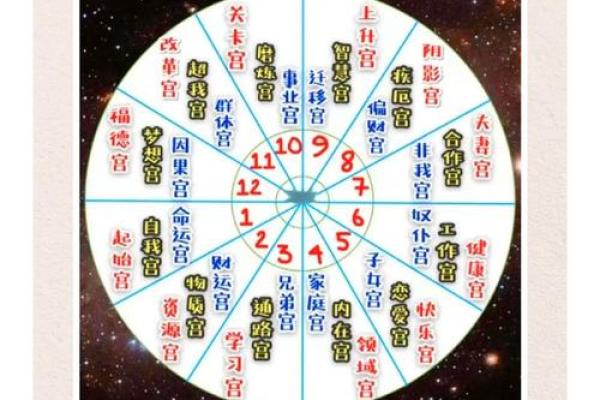 紫薇斗数忌星入十二宫