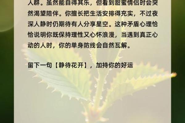 这些星座为大家安利单身的好处