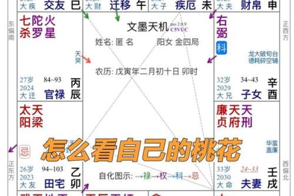 紫薇斗数看月运 紫薇斗数看月运