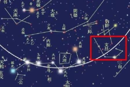 紫薇落在夫妻宫