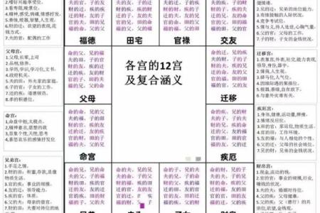 紫薇斗数忌星入十二宫