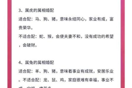 双羊八字详批：性格、婚姻、事业、财运，全面解析！
