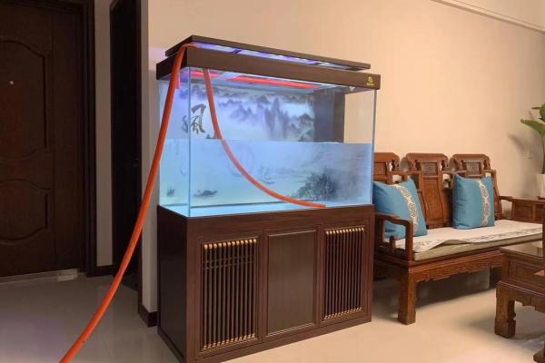 办公室风水鱼缸的摆放禁忌 鱼的数目也是有讲究的 办公室风水鱼缸的摆放禁忌 鱼的数目也是有讲究的