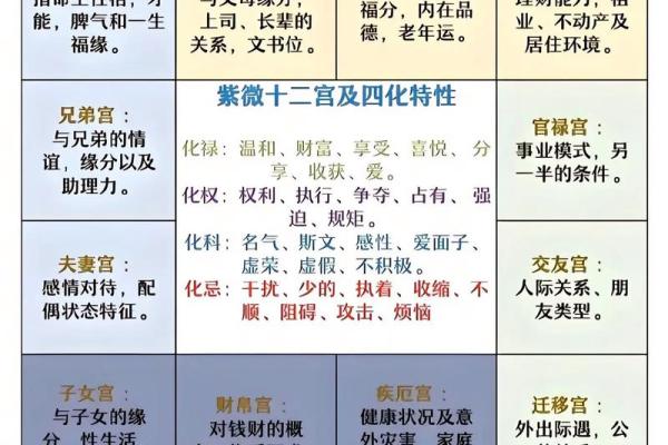 紫薇斗数怎么看一个人适合学周易
