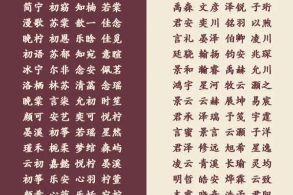 2019年3月22号巳时出生的男孩应该起什么样的名字姓名