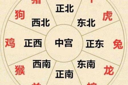 紫薇斗数举门宫