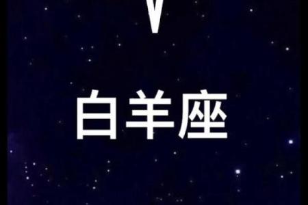 失去白羊座会疯的星座