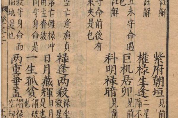 老鼠紫微斗数全书共几卷 老鼠 紫菀？