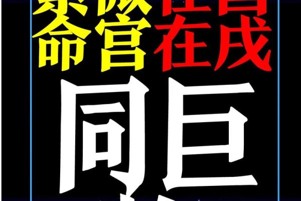 紫微斗数旺夫五种格局