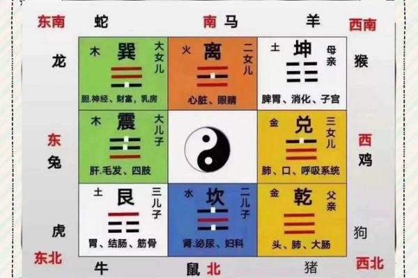 风水学中的穴位，都有哪些禁忌