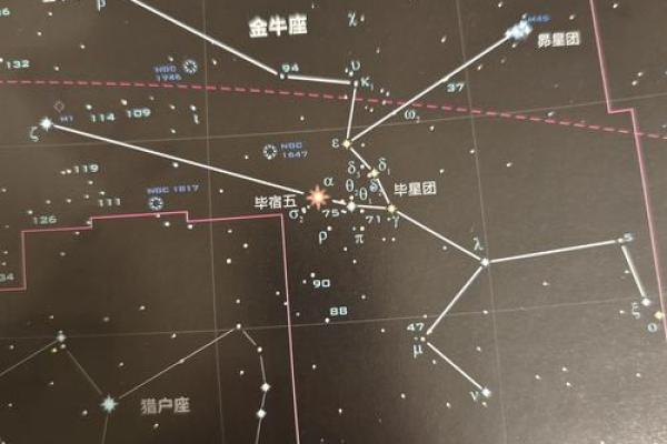 星座学:金牛座六月份的运势!独家详细分析! 星座学:金牛座六月份的运势!独家详细分析!