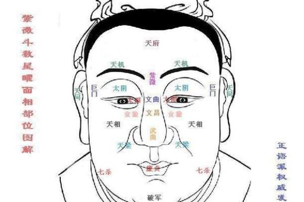 面相在线测试,在线扫一扫测面相