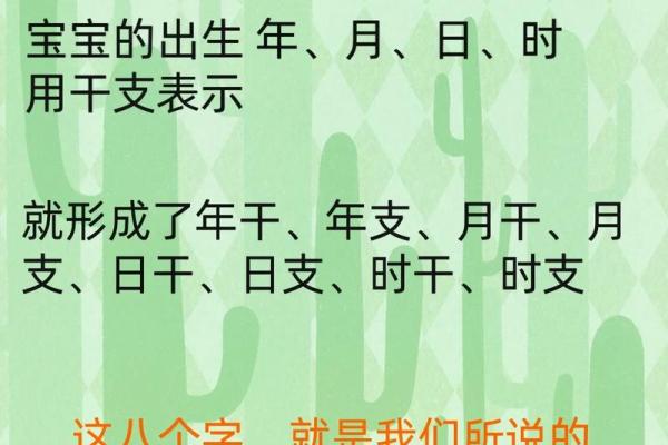 生辰八字宝宝起名软件