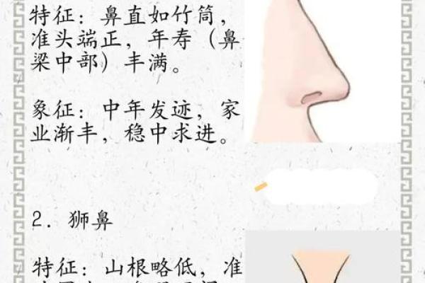 面相算命鼻子