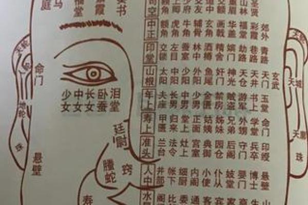 看相算命图解 看相算命图解