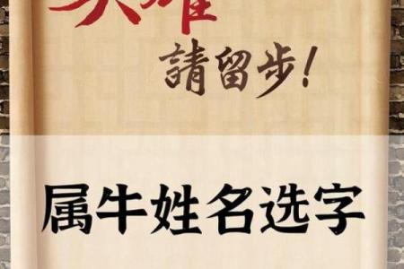 怎么样给下午5点出生的属牛男孩取名字好姓名