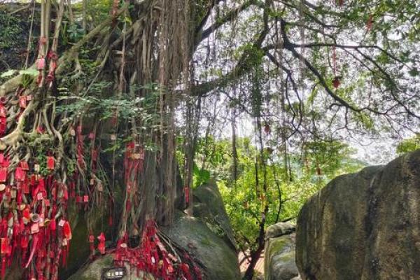 深圳凤凰山算命 深圳凤凰山算命