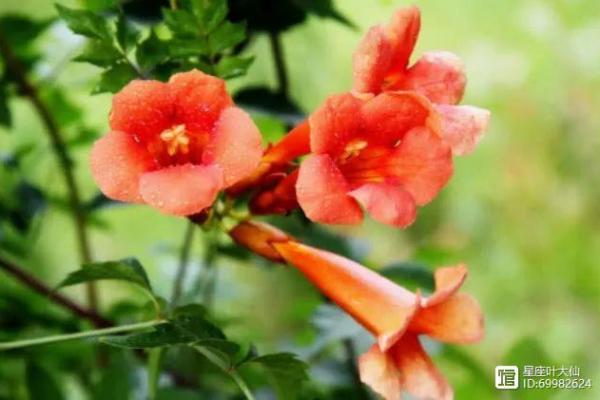 八字事业宫详解:如何突破事业瓶颈 八字事业宫详解:如何突破事业瓶颈