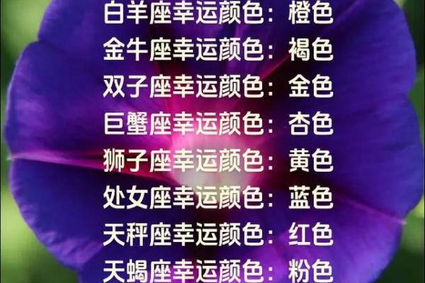 星座最适合的颜色