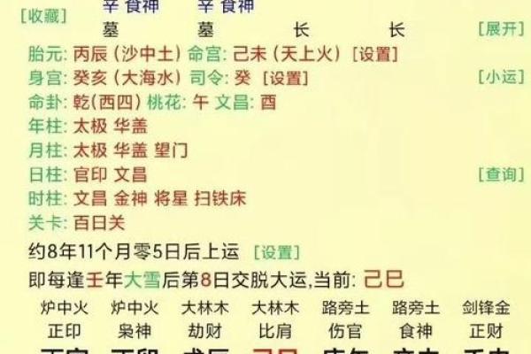 八字己巳日 八字己巳日