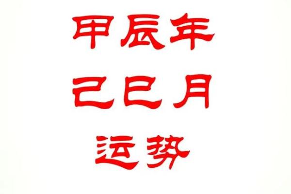 八字己巳日 八字己巳日