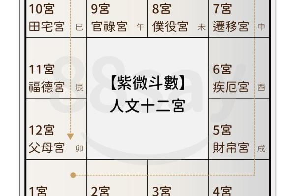 《紫微斗数》命盘解析可以运用哪些领域? 《紫微斗数》命盘解析可以运用哪些领域?