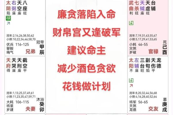 紫薇斗数主星性质:廉贞,天府,贪狼,巨门 紫薇斗数主星性质:廉贞,天府,贪狼,巨门