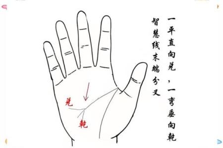 图解-智慧线上有十字纹算命