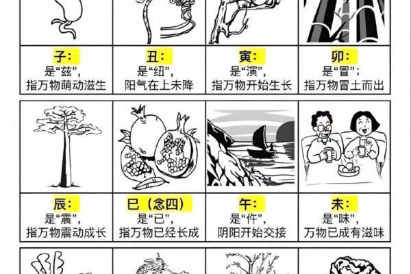 国学文化：简单的“天干地支”求年月日时八字