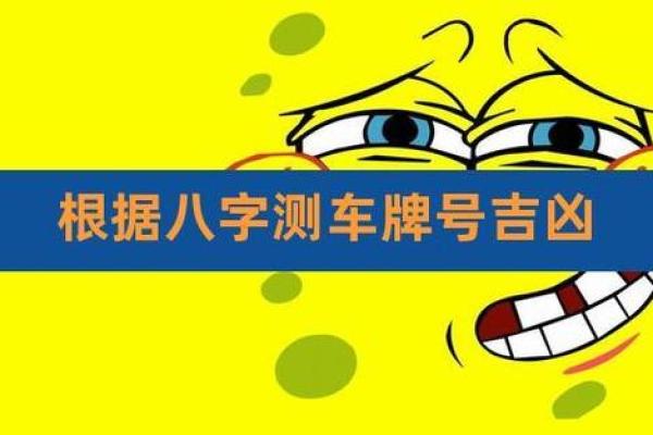 周易车牌吉凶测试打分