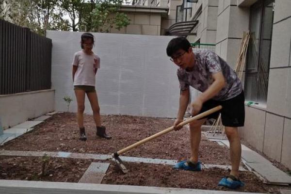 新房子前面种菜可以吗风水