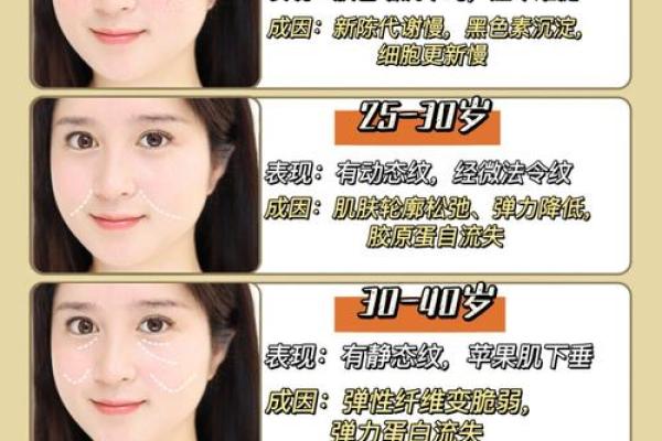 面部衰老八字图 面部衰老八字图