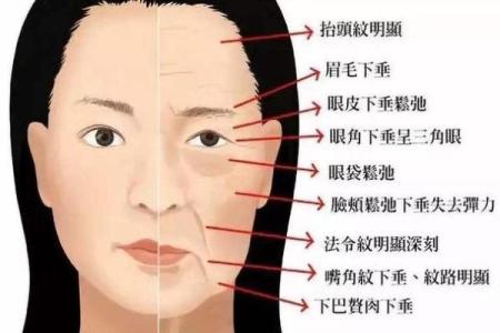 面部衰老八字图