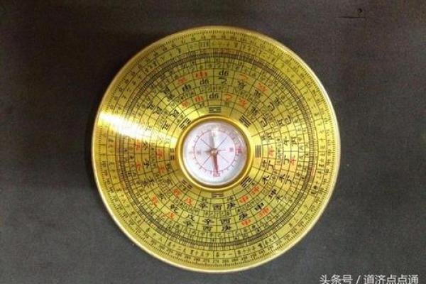 最后一个风水师 丸子 最后一个风水师 丸子