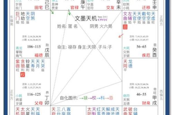 申宫紫薇斗数 申宫紫薇斗数