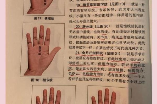 手相算命话语,手相算命说法