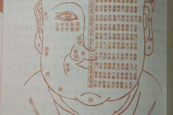 看相算命书 看相算命书