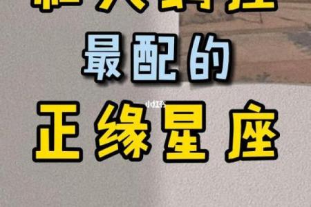 天龙座和天蝎座,与天龙座最相配的星座