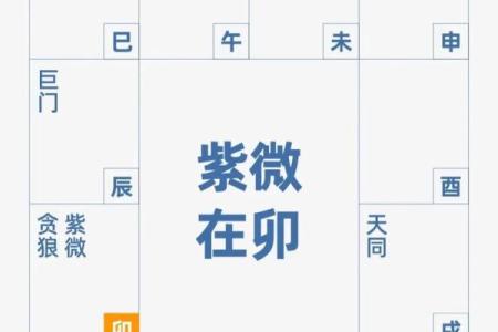 紫薇斗数中身迁