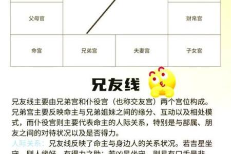 紫薇斗数看情商