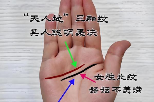 凯帝阿手相算命图解大全04 凯帝阿手相算命图解大全04