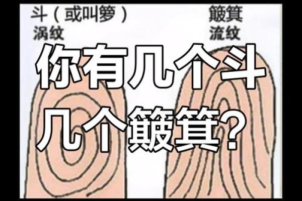 老人说-“十指无斗全簸箕,此生有财无处去”,数数你手上有几个 老人说-“十指无斗全簸箕,此生有财无处去”,数数你手上有几个